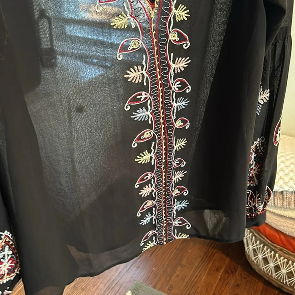 Sheer Embroidered Blouse - Picture 8 of 11
